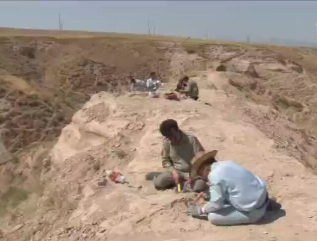 کشف سایت فسیلی تازه در مراغه