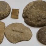 مراغه میزبان کشف فسیل ۲۵ میلیون‌ساله؛ نوید توسعه گردشگری علمی و ژئوپارک‌ها