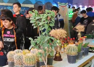 گشایش نمایشگاه دستاوردها و ظرفیت‌های هنرستان‌های مراغه