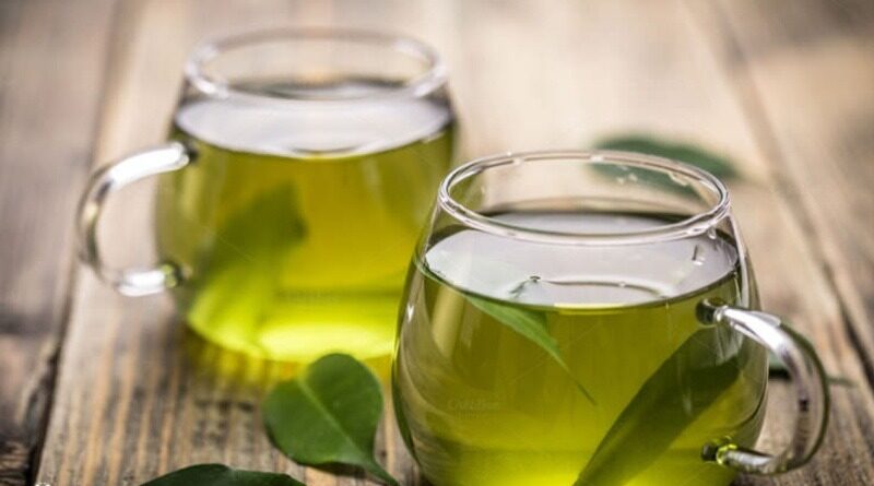 نقش چای سبز در تقویت سلامت بلندمدت؛ از کاهش خطر بیماری‌های قلبی تا حمایت از عملکرد مغز
