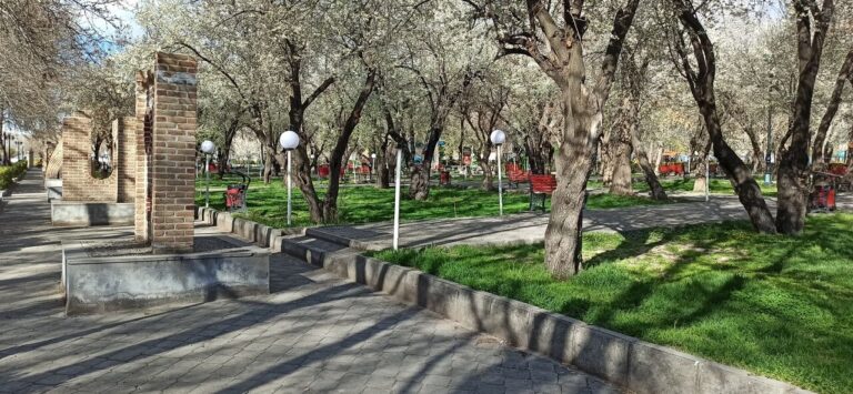 مراغه در مسیر تقویت زیرساخت‌های فضای سبز شهری