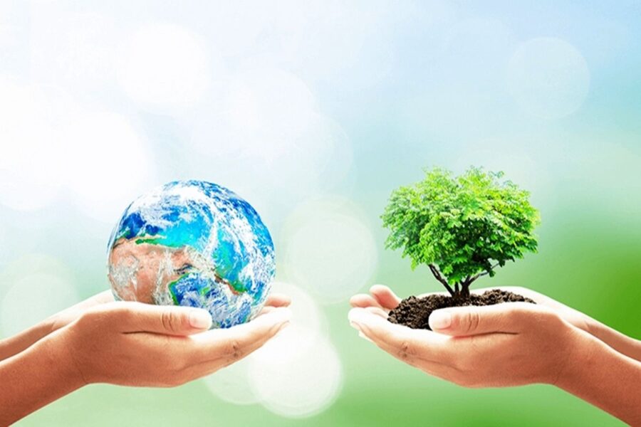 رئیس سازمان حفاظت محیط زیست: زمین سالم، زیربنای توسعه پایدار و سلامت جامعه است
