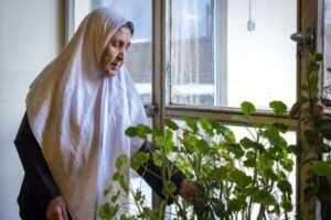  تنهایی و انزوای اجتماعی خطر زوال شناختی را در زنان در آستانه یائسگی افزایش می‌دهد