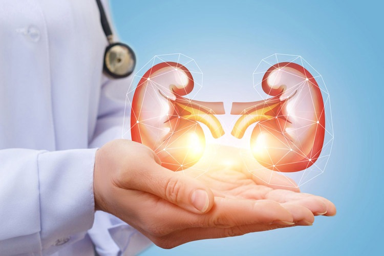 مصرف چه میزان مایعات برای پیشگیری از سنگ کلیه کافی است؟