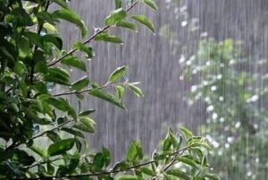 افزایش ۱.۵ برابری بارش‌ها در مراغه از ابتدای سال