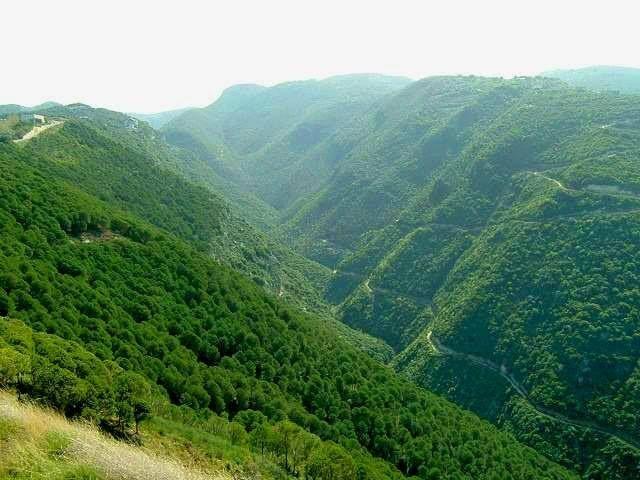 10 دلیل برای سفر به دره ضحاک؛ گنجینه پنهان طبیعت لبنان